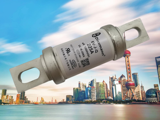 Keramischer materieller schneller fungierender Standard der EV-Batterie-1000VDC Sicherungs-UL248