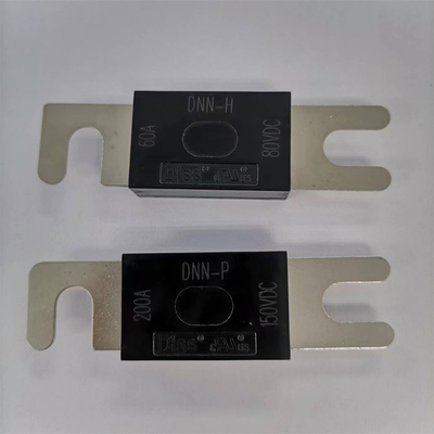 Flache Stecker-Niederspannungs-Sicherung, elektrisches Holz Shell Time Lag Fuse DC150V