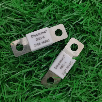 Mini Size Low Voltage Flat-Stecker-keramische Sicherung mit hoher Stabilität und Sicherheit