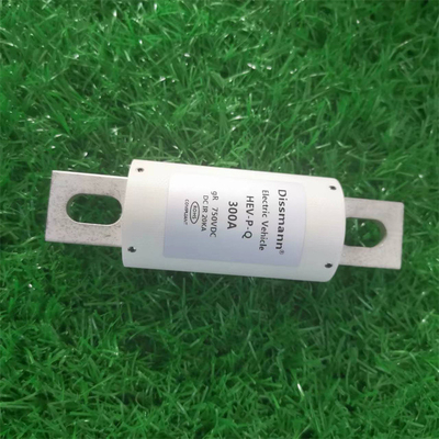Speicher Dissmann 300Amp der Energie-750VDC DC-Sicherungs-Faser-Rohr-Material