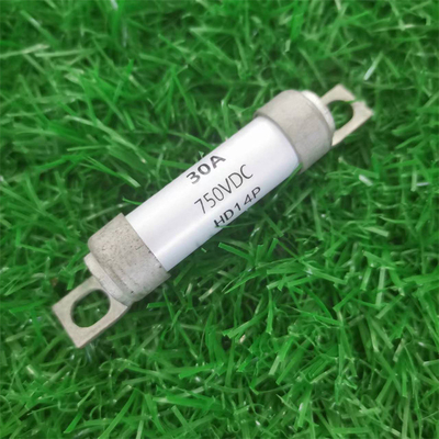 Sicherung 1000VDC 63A Dissmann BS88, britische Standardsicherungen für EV-Ladegerät