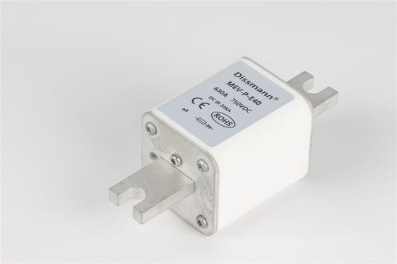 Sicherungen der Wirtschaftsmacht-IEC60269-4, quadratische Verspätungs-Patronensicherung