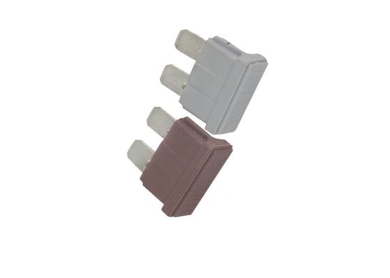 Beleuchtete Automobilmaterielle flache Form 1-Ampere-schnelle verantwortliche Sicherungs-PBT