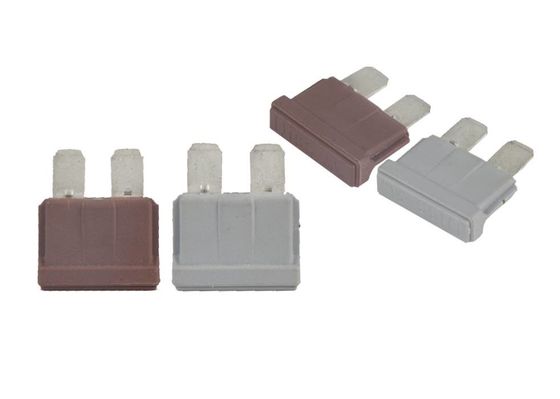 Beleuchtete Automobilmaterielle flache Form 1-Ampere-schnelle verantwortliche Sicherungs-PBT