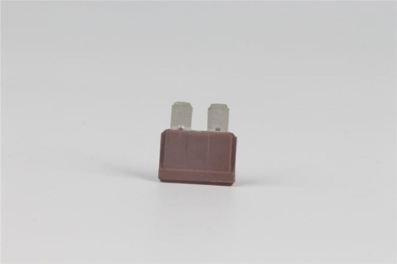 80v 40 Ampere-Stecker schnellen fungierenden PBT materiellen der Niederspannung in der Sicherungs-