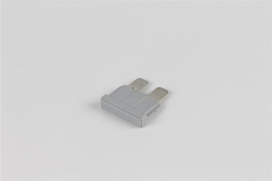 80v 40 Ampere-Stecker schnellen fungierenden PBT materiellen der Niederspannung in der Sicherungs-