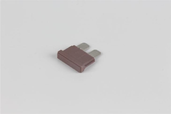 80v 40 Ampere-Stecker schnellen fungierenden PBT materiellen der Niederspannung in der Sicherungs-