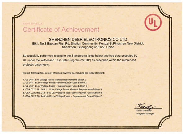 China Dissmann | Global Expert Fuse for EV | HEV | Photovoltaic | Battery | Energy Storage Solutions Zertifizierungen